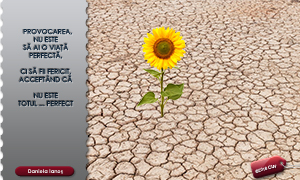 O viață perfectă. Despre percepția fericirii și echilibrul personal.